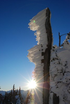 Rime ice creates lines of white frost jutting off a brown stick with the sun and blue sky behind it