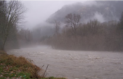 Elwha River in flood stage