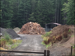 Woody debris pile for prescribed pile burn Large woody debris pile