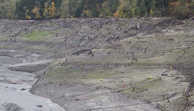 Planting in newly exposed sediment upstream of Glines Canyon Dam