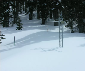 weather instruments in snow-covered forest clearing