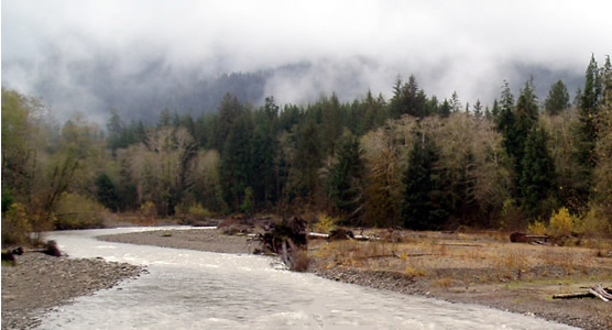 Queets River