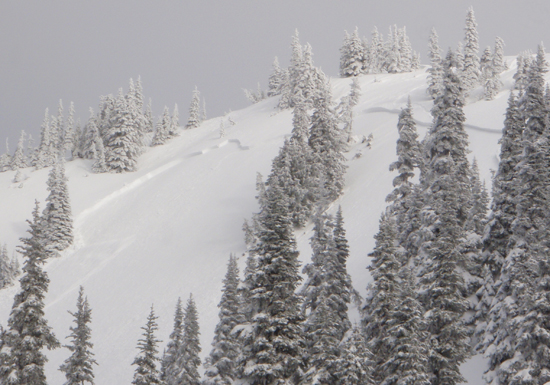 Avalanche Hurricane Ridge  2-19-12 