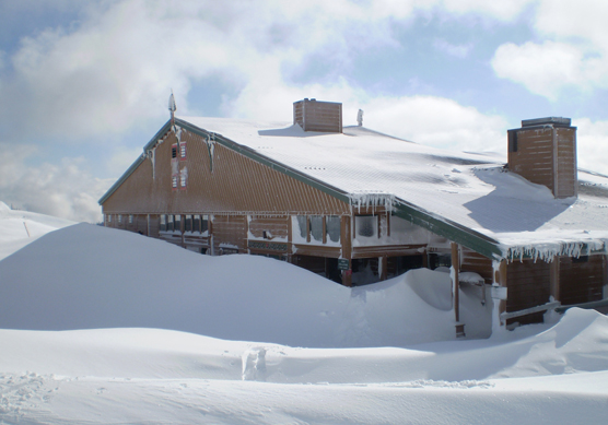 Hurricane Ridge VC 3/5/11