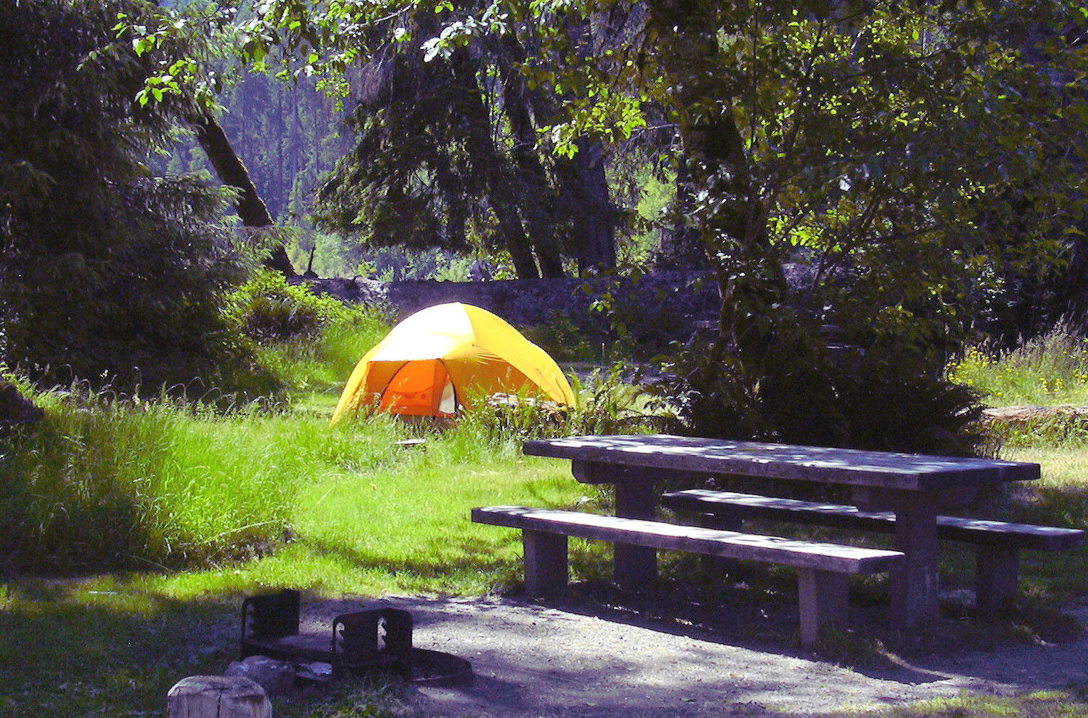 Hoh Campground