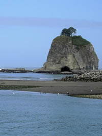 Sea stack and beach at La Push