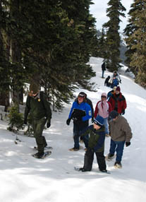 A ranger leads a small group on a snowshoe walk at Hurricane Ridge.