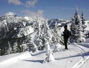 A cross-country skier rests while taking in the view from Hurricane Ridge.