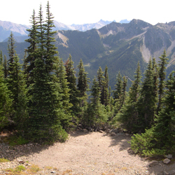Roaring Winds Camp