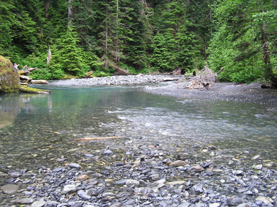 Sixteen Mile Crossing of the North Fork Quinault