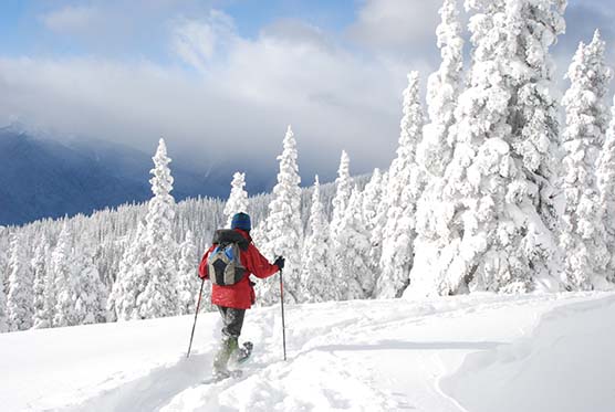 Snowshoer on Hurricane Ridge