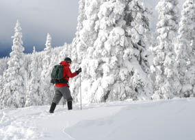A cross-country skier at Hurricane Ridge traverses a snowy meadow.