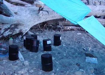 Eight black bear cannisters set on a rocky beach.