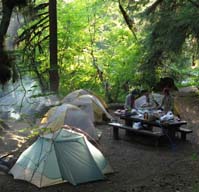 Sol Duc campsite