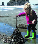 young girl in pink jacket and bright green boots, holding a piece of kelp