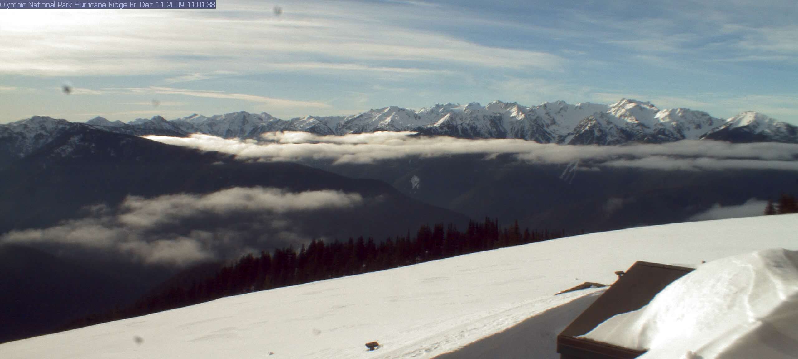 Hurricane Ridge Webcam Image