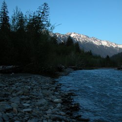 Hoh Rainforest and River