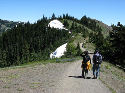 Visitors walking trail at Hurricane Ridge