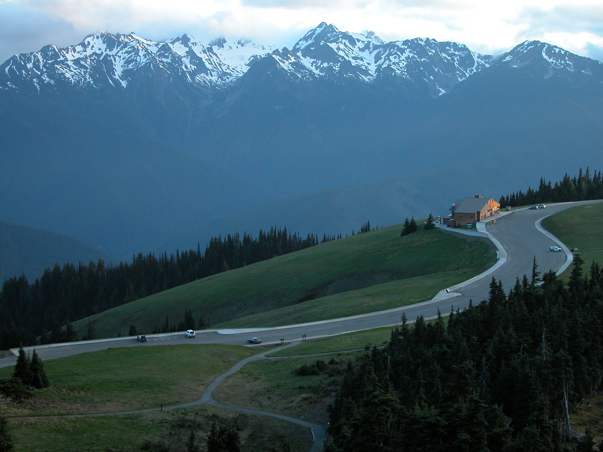 Hurricane Ridge in Summer