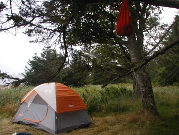 A tent set up in a coastal wilderness area. The party is practicing improper food storage by hanging their food from a tree. Bear cannisters are required for food storage along the coast.