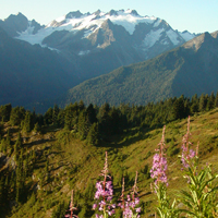 Mt. Olympus from High Divide