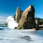 Seastack at Rialto Beach