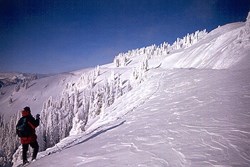 Skier headed into potential avalanche terrain.