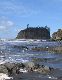 Kalaloch Beach