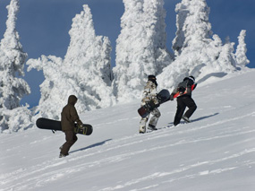 Three snowboarders climb up a hill, with snow-covered trees in the background.