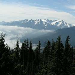 High in the Olympic Mountains