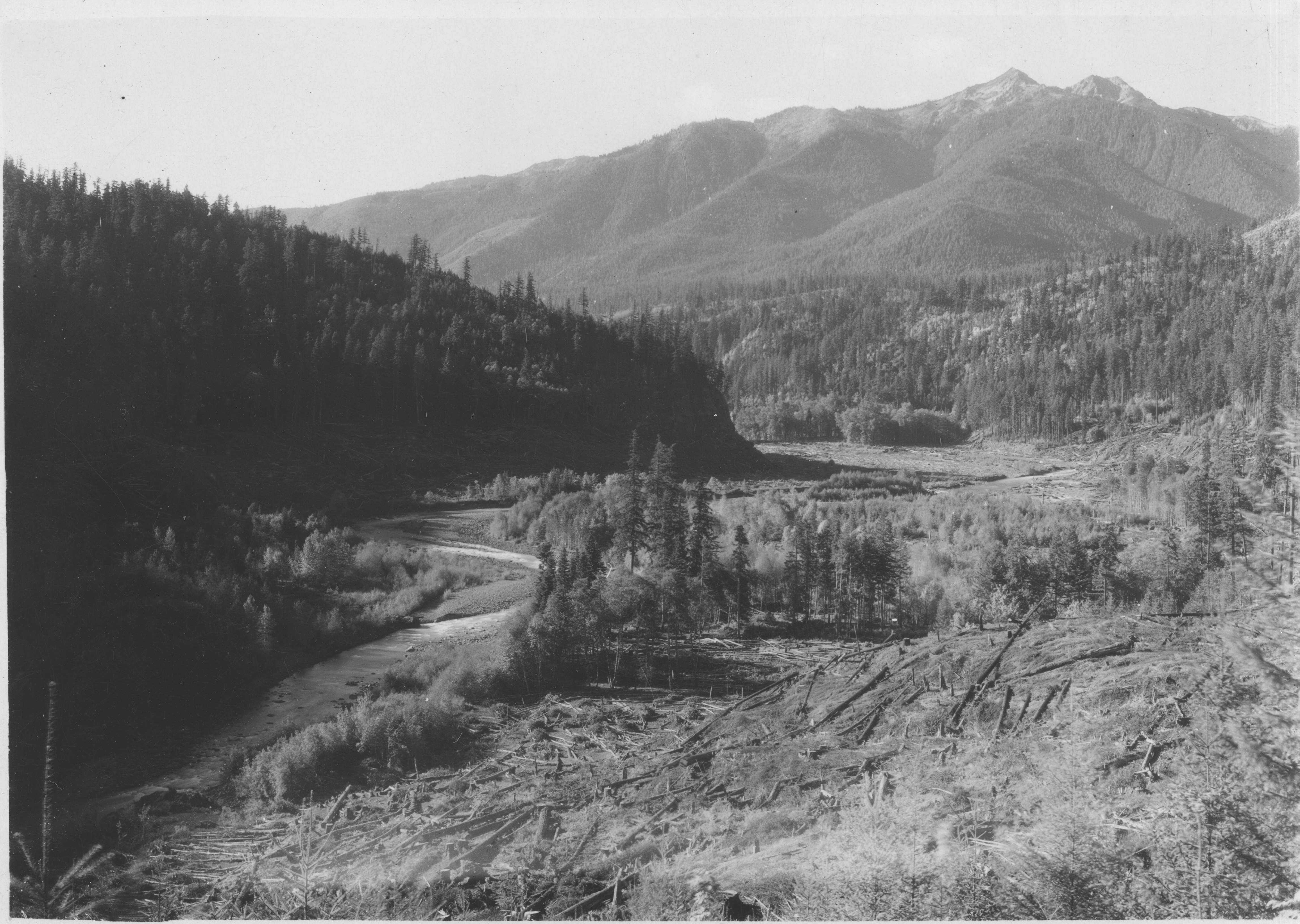 Elwha