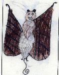 Child's drawing