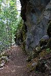Cliff Nature Trail