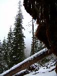 Cliff Nature Trail
