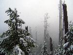 Cliff Nature Trail