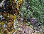 Cliff Nature Trail