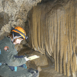 Resource Management staff surveying bat bones found inside the cave.