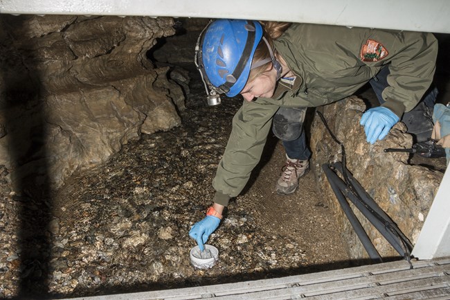 Oregon Caves ranger testing acidity of the water of River Styx.