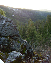 Marble outcroppings on the Cliff Nature trail.