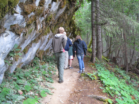 Hikers explore the Old-Growth Forest