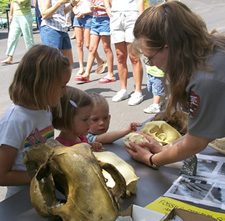 Enjoy many of the kid friendly Ranger-led programs.
