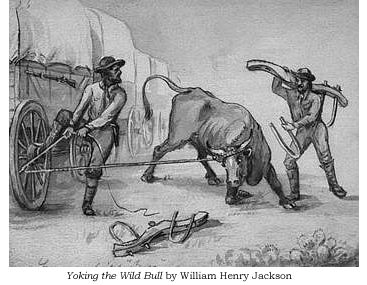 Illustration by William Henry Jackson entitled 