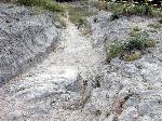 Ruts carved by thousands of iron-clad wagon wheels