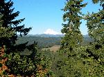 A view of Mt Hood on the Oregon Trail