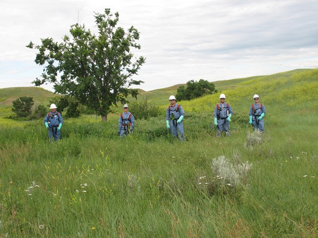 Men and women dressed in protective suites for working in the field
