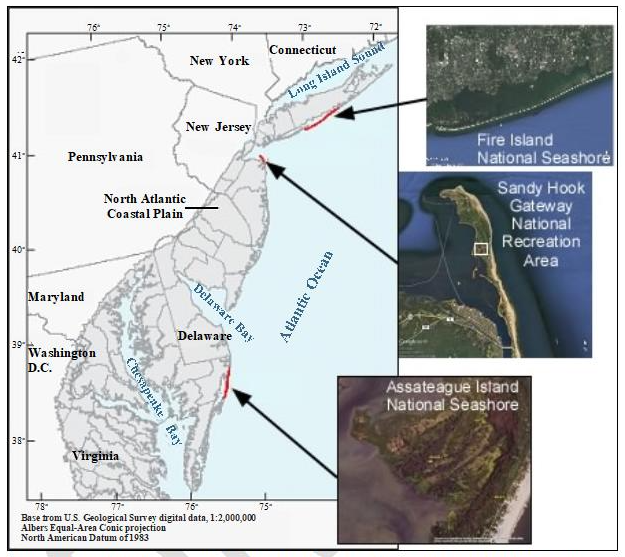 Figure 1: Project study areas on Fire Island National Seashore, NY, Sandy Hook Gateway National Recreation areas, NJ and Assateague Island National Seashore, MD.