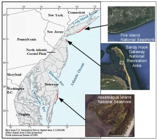 Figure 1: Project study areas on Fire Island National Seashore, NY, Sandy Hook Gateway National Recreation areas, NJ and Assateague Island National Seashore, MD. Figure 1: Project study areas on Fire Island National Seashore, NY, Sandy Hook Gateway National Recreation areas, NJ and Assateague Island National Seashore, MD.