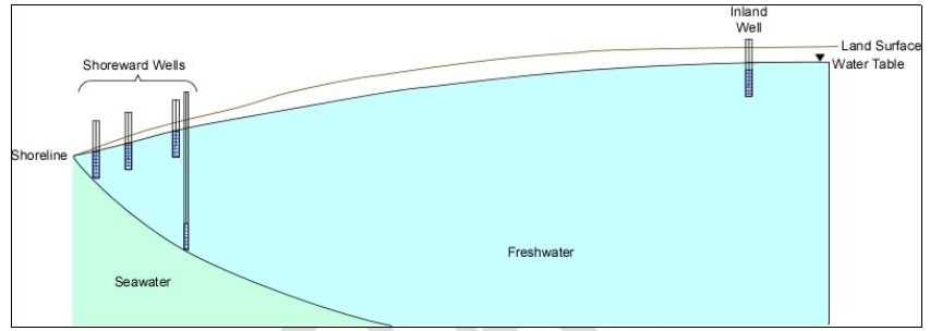 Figure 3: Distribution of near shore and inland well to study potential forest mortality mechanisms Figure 3: Distribution of near shore and inland well to study potential forest mortality mechanisms