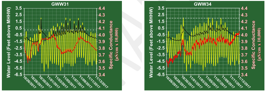 Figure 5b. GWW31 - Zoom View Figure 5c. GWW34 - Zoom View Figure 5b. GWW31 - Zoom View Figure 5c. GWW34 - Zoom View