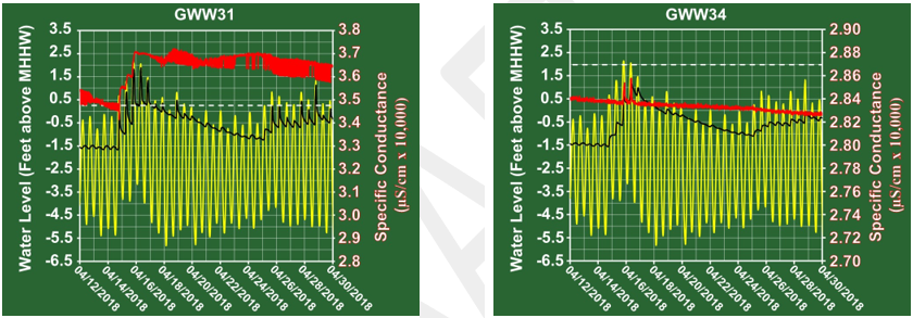 Figure 7b. GWW31 - Zoom View Figure 7c. GWW34 - Zoom View Figure 7b. GWW31 - Zoom View Figure 7c. GWW34 - Zoom View